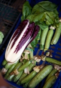 italian_fix_18