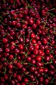 italian_fix_19