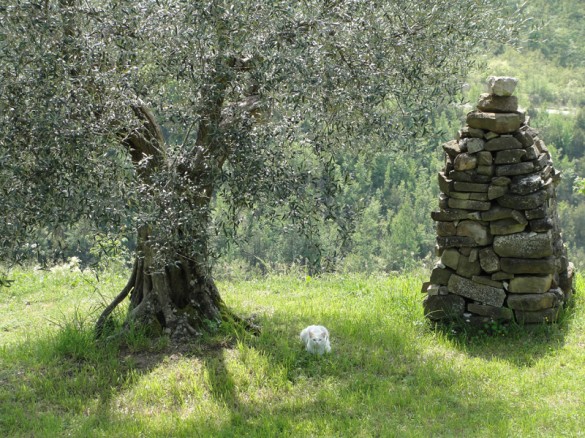 Umbria Yoga