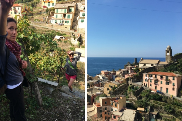 vineyard in cinque terre